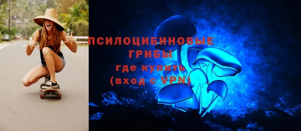 шишки Алексин