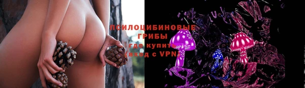 твердый Алексеевка