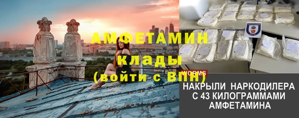 шишки Алексин