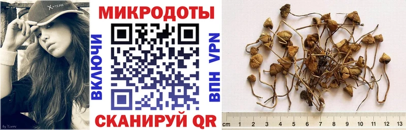Галлюциногенные грибы мухоморы  Цивильск 